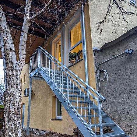 Ferienwohnung Einraum Apartment Pusteblume Eilenburg Exteriör bild